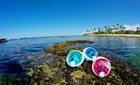 Mergulho Easy nas Piscinas Naturais // Snorkeling in Natural Pools
