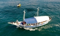 Observação de Baleias // Whale Watching