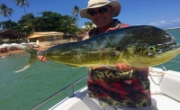 Pesca Litorânea & Oceânica // Deep Sea Fishing