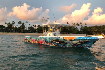 Lancha Parasail X