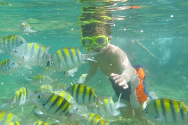 Snorkeling Praia do Forte