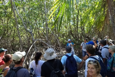 Hiking Tour - Caminhada pela Floresta