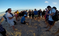 Grupos Corporativos - Expedição Imbassai // Imbassai Expedition (For Groups)