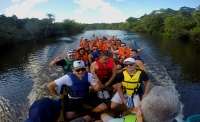 Grupos Corporativos e Atividades // Corporate Groups