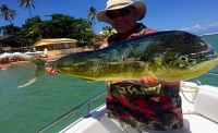 Pesca Litorânea & Oceânica // Deep Sea Fishing